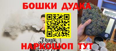 мдпв Дубна